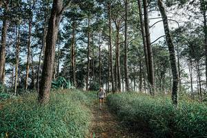 BIB: 
                            <button type="button" onclick="openModal(25657234)" class="btn btn-primary btn-sm float-right btn-popup" data-toggle="modal" data-target=".modal-high-quality">
                        <i class="fas fa-shopping-cart"></i> Add to Cart
                    </button>
                                            <button type="button" onclick="isThisMe(25657234, true)" class="btn btn-success btn-sm float-right btn-popup btn-isme hidden" data-toggle="tooltip" data-placement="bottom" title="นี่คือรูปของคุณใช่ไหม คลิกที่นี่เพื่อเอาเข้าอัลบั้ม">
                        <i class="fas fa-plus"></i> Add to album
                    </button>
                    <button type="button" onclick="isThisMe(25657234, false)" class="btn btn-warning btn-sm float-right btn-popup btn-isnotme hidden">
                        <i class="fas fa-ban"></i> Remove from album
                    </button>